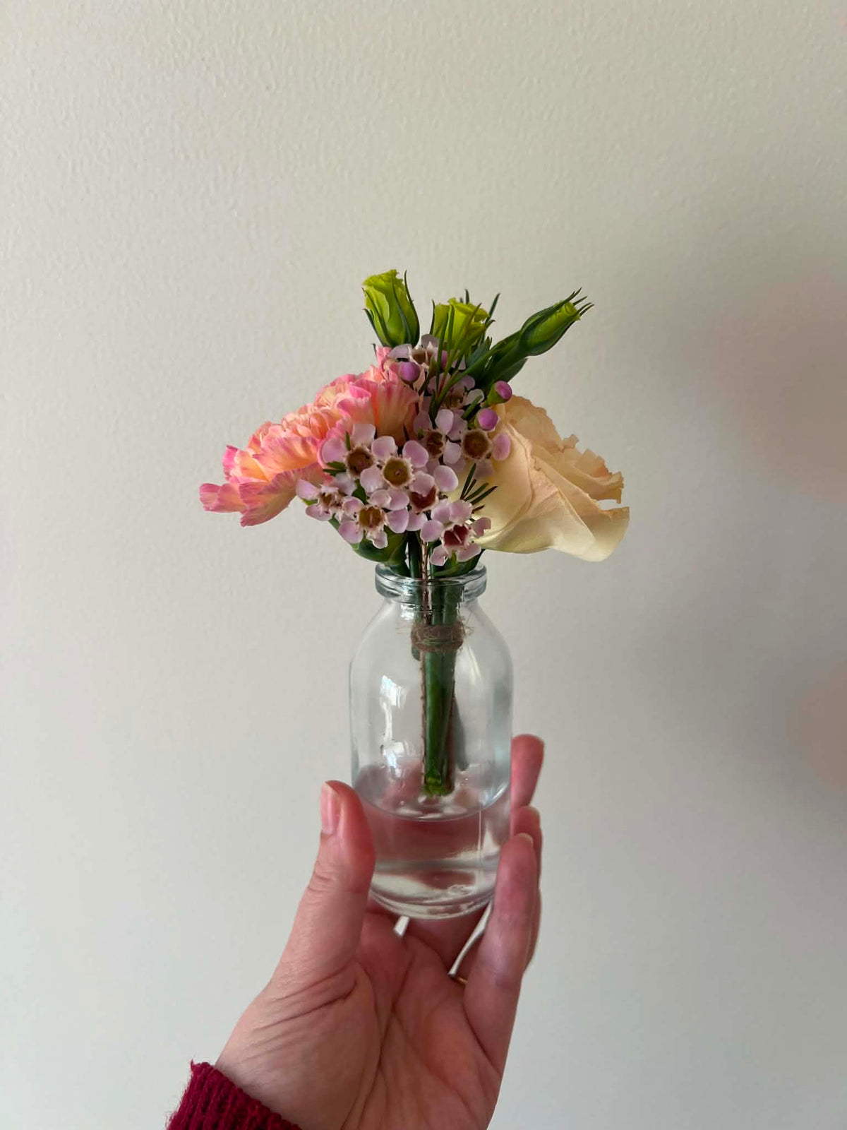 Baby Blooms