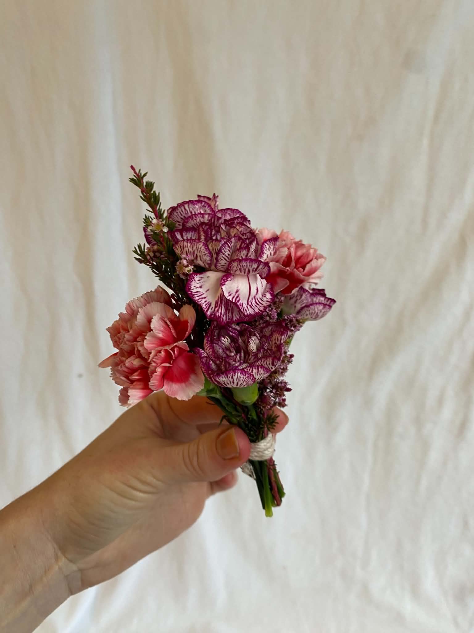 Baby Blooms